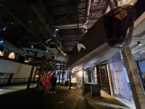 Wycieczka do Warszawy - „POZNAJ POLSKĘ” 4