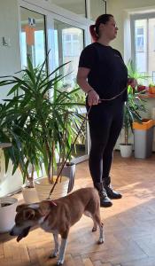 Spotkanie z pracownikiem Schroniska w Czartkach - 19.04.24r.