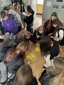 att.G5vqT5AvSvSPRb4plpFRqqIRULlG3A7szhZ0noB4rgY