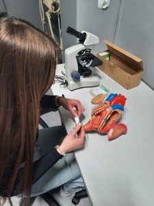 1ec13304-435f-4dbb-a66d-f5e85c0c8d76