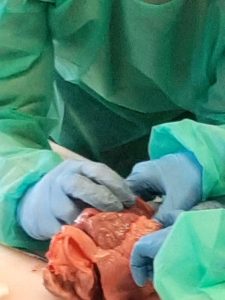 570bc386-bd63-456c-81eb-96da49683935