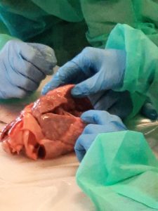 aa0f7f75-30a0-401f-bf52-c20fa81e6f4d