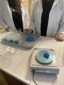 482671291 616693144306464 7393374091135155423 n