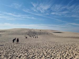 Wycieczka do Malborka i Trójmiasta 2023 PZS Blaszki 006